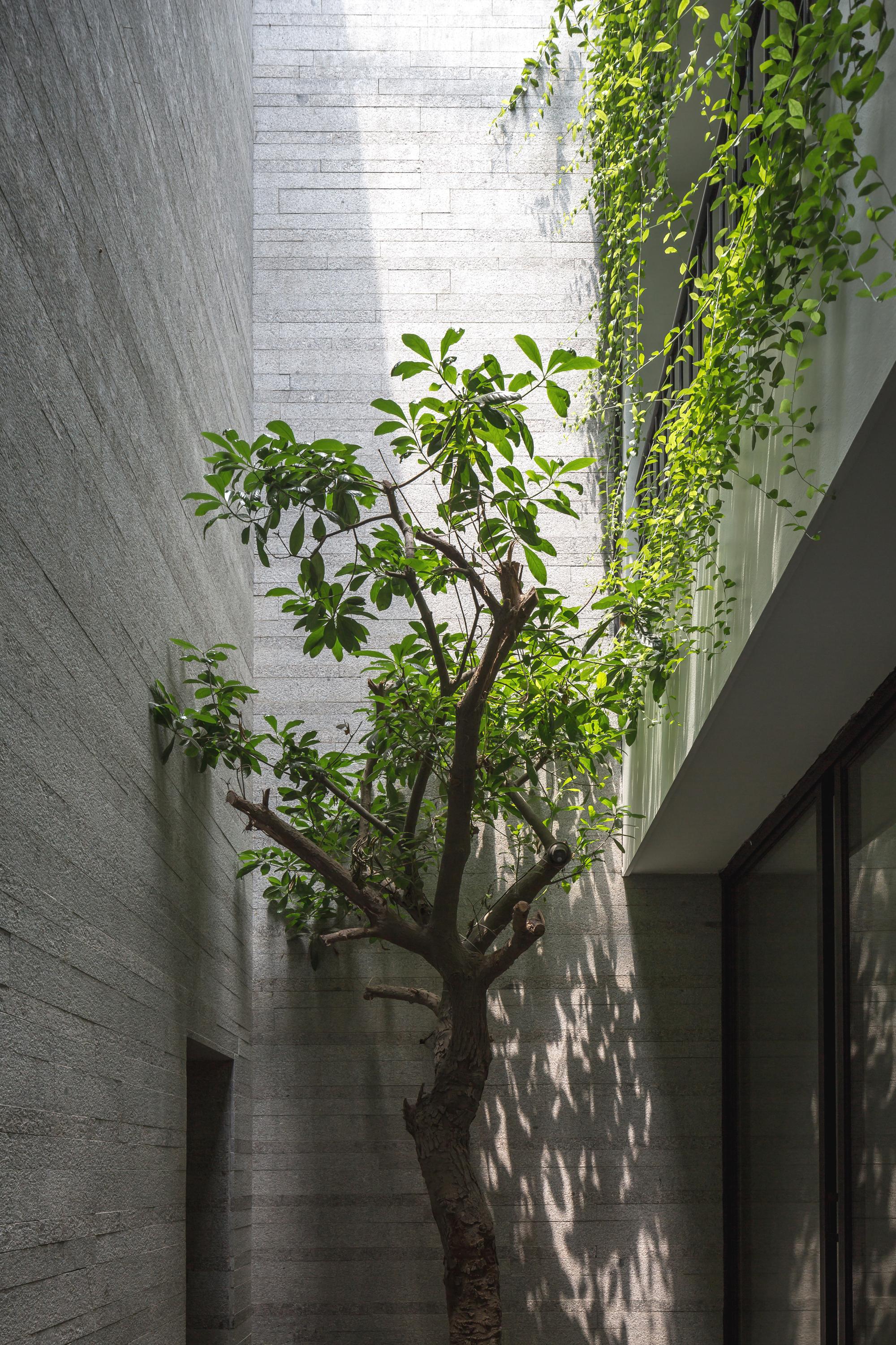 Ngôi nhà Dhouse HOÀNG MAI 